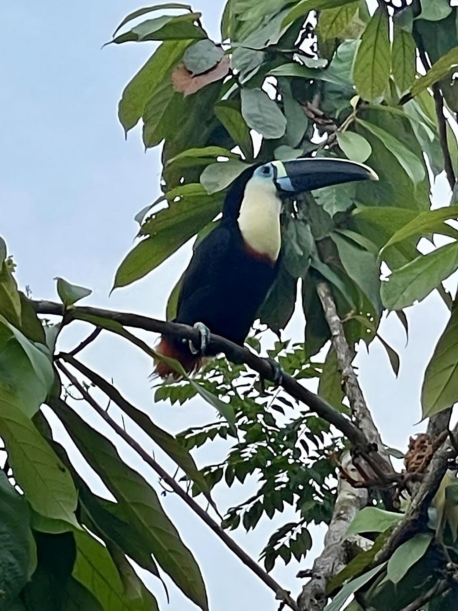 Отель Maiku Amazonas Пуэрто-Наринио Экстерьер фото